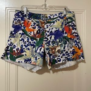 Hue Stretch Shorts